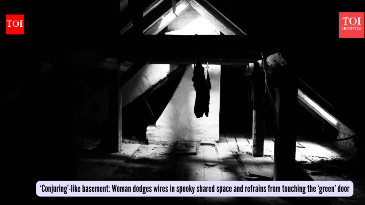 Chicago Basement Horror: A Tale of Shared Spaces and Fear